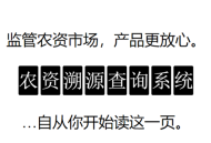 亚洲赛场的英姿风采：球员飒爽晋级瞬间